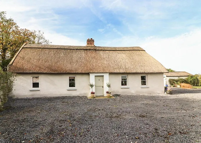 New Thatch Farm Semesterbostad Knocklong