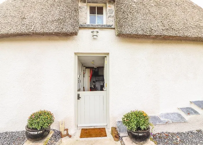 New Thatch Farm Knocklong